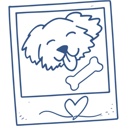 Hand-drawn photo of a happy dog with a bone icon, representing Furfolk’s pet photo updates in Brisbane