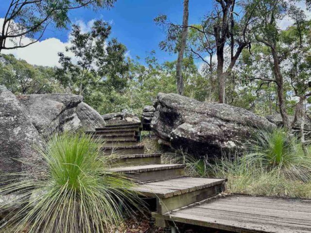 Rocky bush walking track in Karawatha Forest, Brisbane, offering shaded dog-friendly trails for summer walks