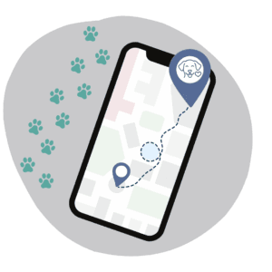 Illustration of a phone with a GPS-tracked dog walk route, showing how Furfolk logs your dog’s steps