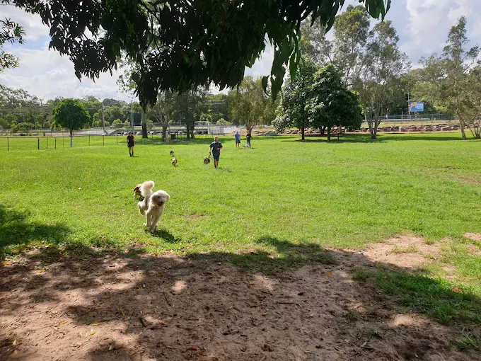 Dogs playing on the grass at Ferny Grove dog park during a supervised Furfolk visit