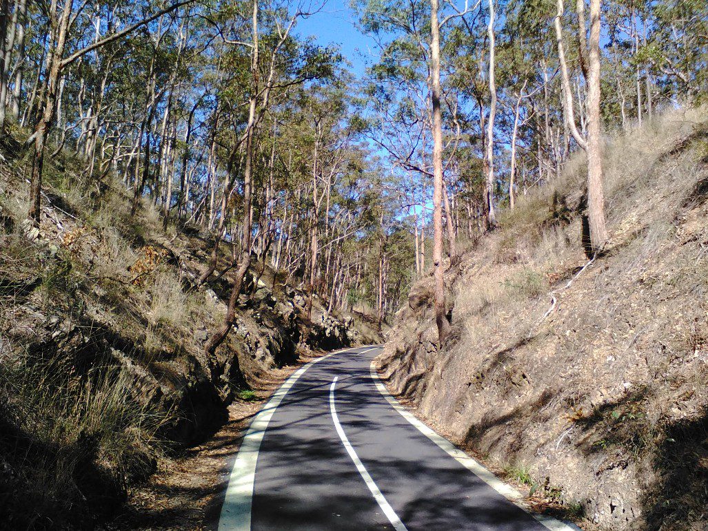 Dog Walker Ferny Grove using a quiet bushland pathway for safe, scenic dog walks