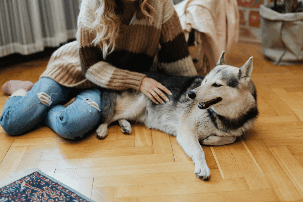 Dog lying on the floor being patted by an in-home pet sitter during an overnight stay.