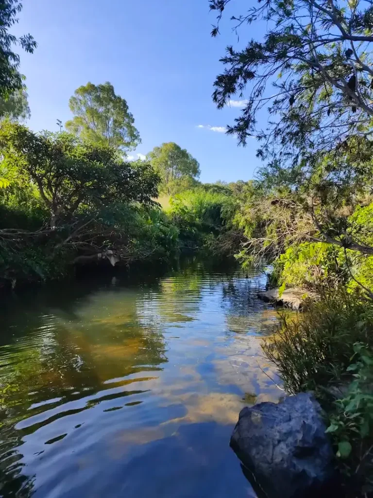 Creekside walking path along Kedron Brook Floodway in Brisbane, offering shaded dog walking routes for summer