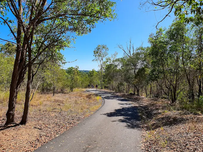 Quiet bush track in Keperra used for dog walking