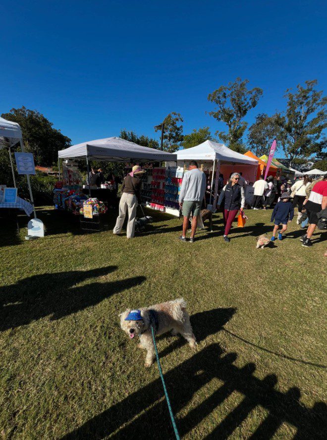 Dog-friendly outdoor market in Brisbane with local stalls, food trucks, and dogs on leads enjoying a community event